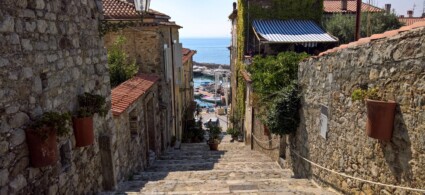 Scario